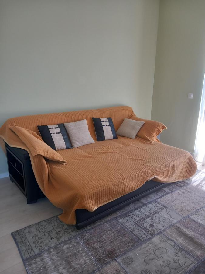 Herastrau Apartment Bukares Bagian luar foto