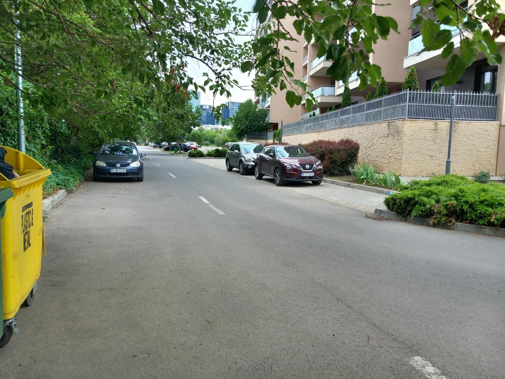 Herastrau Apartment Bukares Bagian luar foto